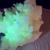 UV Reactive Aragonite | Buena Tierra Mine, Mexico | Choose Your Piece