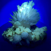 Phosphorescent Calcite with Mordenite & Stilbite | Collector Specimen | India