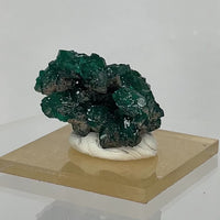 Dioptase Specimens from DR Congo | Choose Your Piece