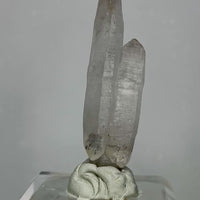 Cholla de Veracruz Quartz Crystal | Choose Your Piece | Veracruz, Mexico