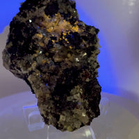 Pyrolusite with Druzy Crystals | Choose Your Piece | Collector Specimen | Mexico