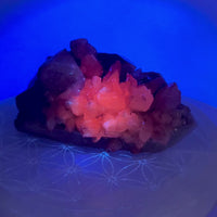 UV Reactive Chalcopyrite, Hematite & Calcite on Quartz | Mexico