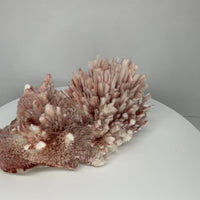 Red Mordenite Crystal Cluster – Aurangabad District, Maharashtra, India | 426g