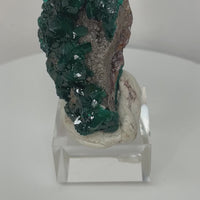 Dioptase Specimens from DR Congo | Choose Your Piece