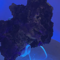 Druzy Fluorite & Calcite from El Potosí Mine, Mexico