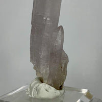Cholla de Veracruz Quartz Crystal | Choose Your Piece | Veracruz, Mexico