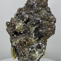 Pyrolusite with Druzy Crystals | Choose Your Piece | Collector Specimen | Mexico