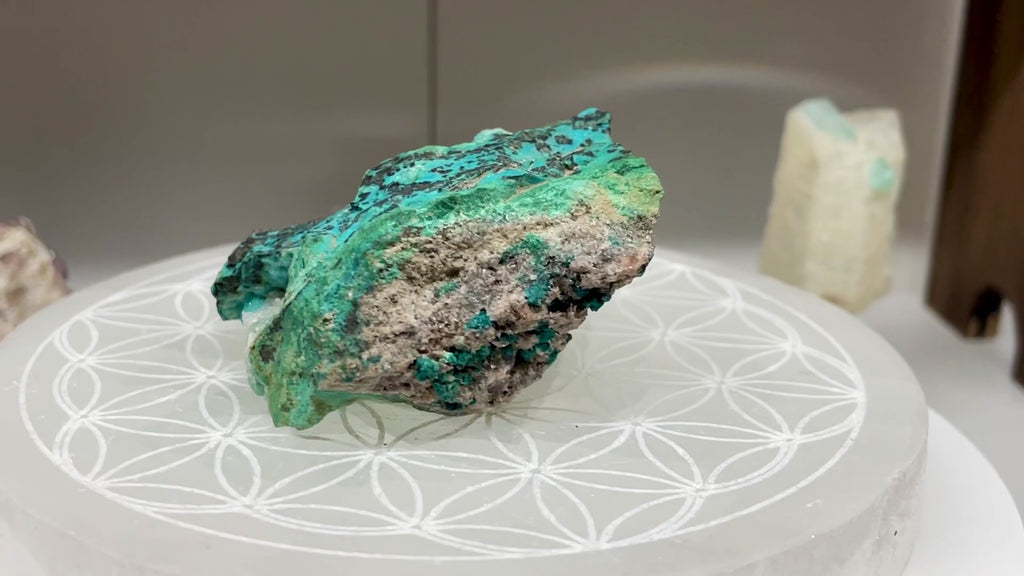 Druzy Chrysocolla - Mexico