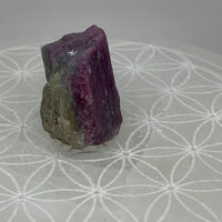 Pink & Green Tourmaline from Urubu, Minas Gerais, Brazil