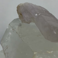 Cholla de Veracruz Quartz Crystal | Choose Your Piece | Veracruz, Mexico
