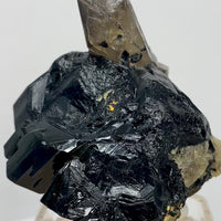 Smoky Quartz on Black Tourmaline — Namibia