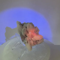 UV Reactive Calcite Cluster – Peru